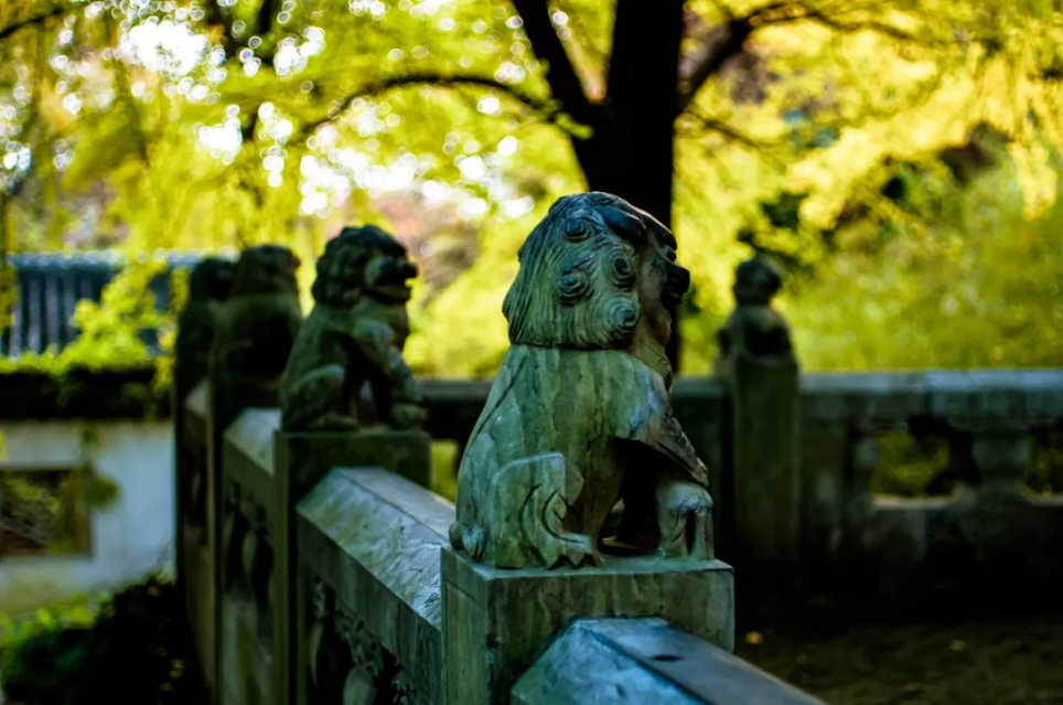 【姑苏秋天】我在苏州美术写生基地等你来看秋